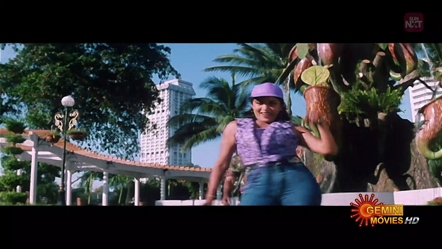 English Pellam East Godavari Mogudu – East Nunchi West Ramya Krishnan Gemini Movies2