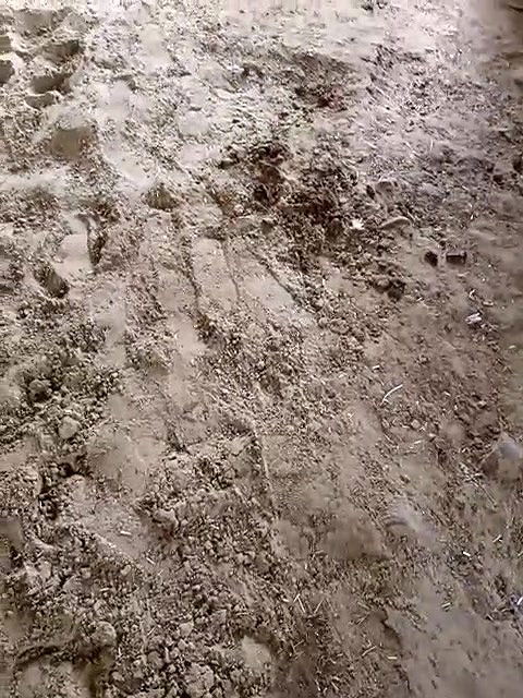 Famous Indian model Indian kanak blowjob and teasing with her servant2