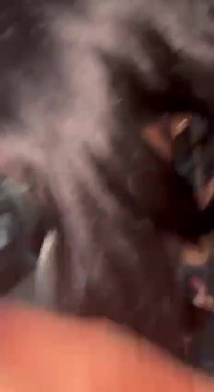 Punjabi gf giving erotic blowjob to her lover 4