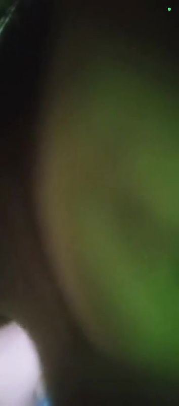 Big boobs shy gf Showing her shaggy tits in vc 2