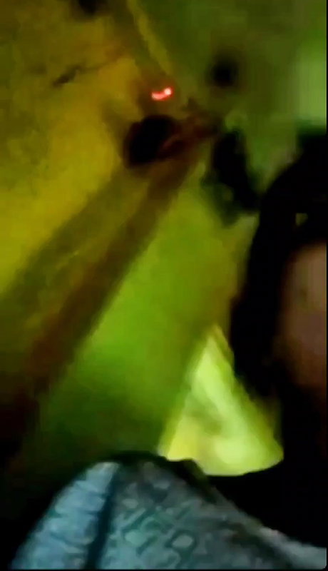 Bigboob Desi Gf Showing Lover Videos 15