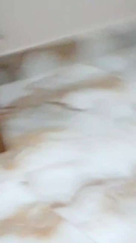 Beautiful Chubby Girlfriend Showing Nude Sucking Boobs 14 Videos Update  9