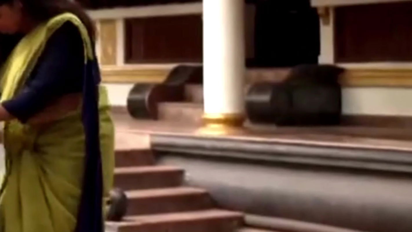 Mersheena Neenu Rare Big Navel Slips in green Saree  2