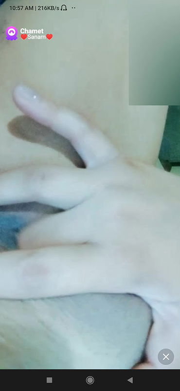 sanam Chamet collection