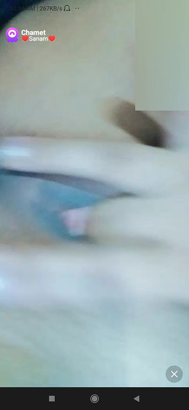 sanam Chamet collection