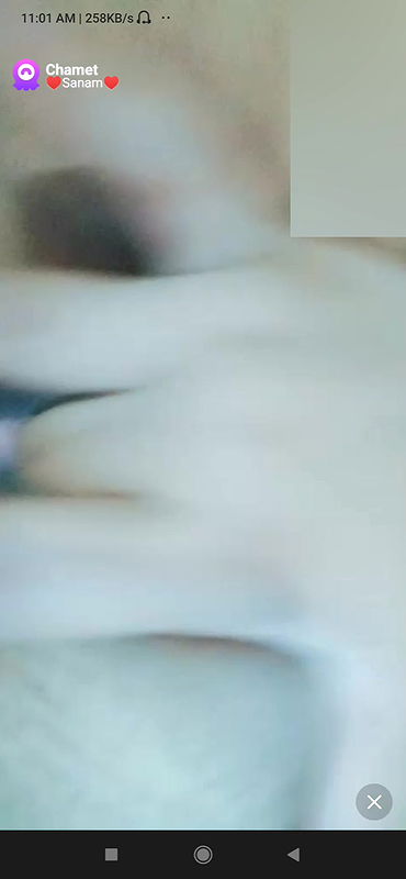 sanam Chamet collection