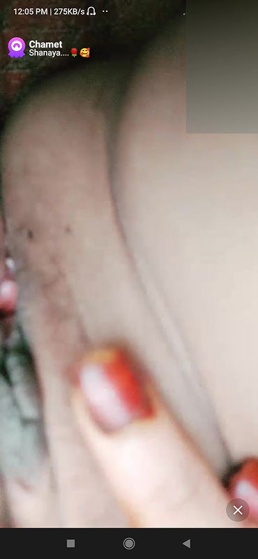 shanaya Chamet collection