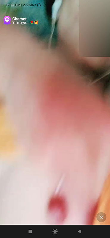 shanaya Chamet collection