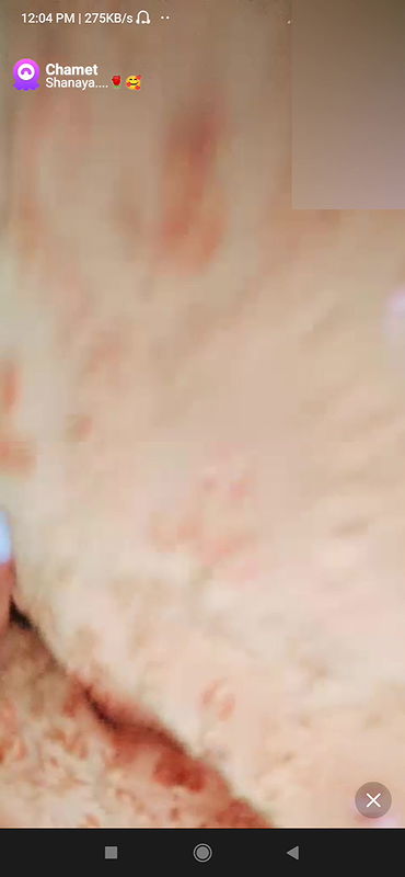 shanaya Chamet collection