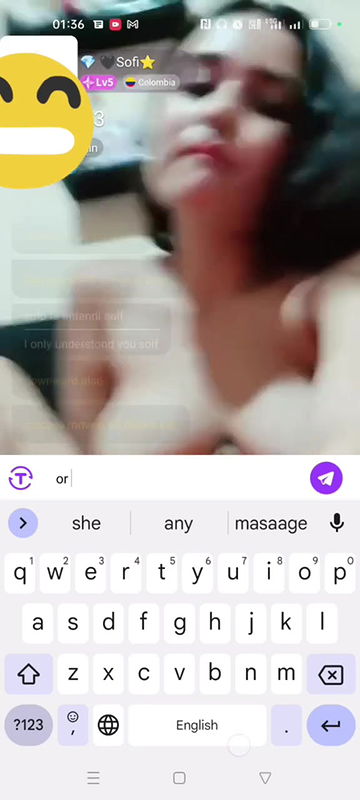 sofi Chamet collection