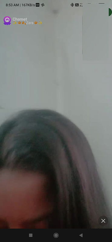 Zara Chamet collection