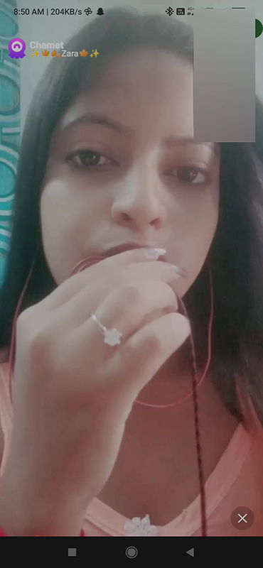 Zara Chamet collection