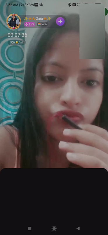 Zara Chamet collection