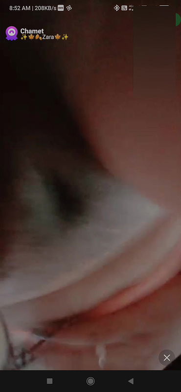 Zara Chamet collection