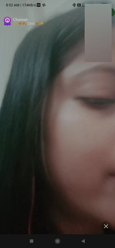 Zara Chamet collection