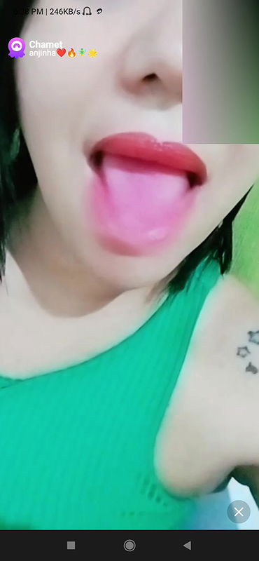 anjinha Chamet collection