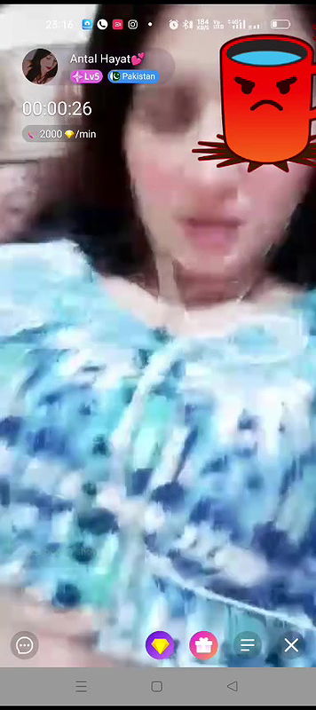 antal hayat Chamet collection