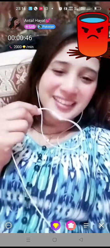 antal hayat Chamet collection