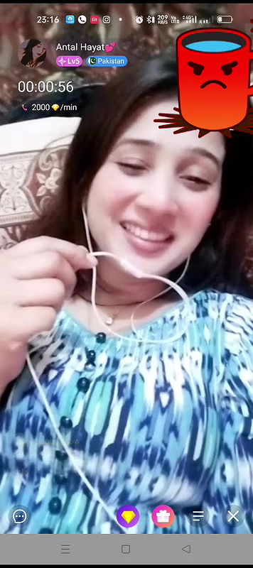 antal hayat Chamet collection