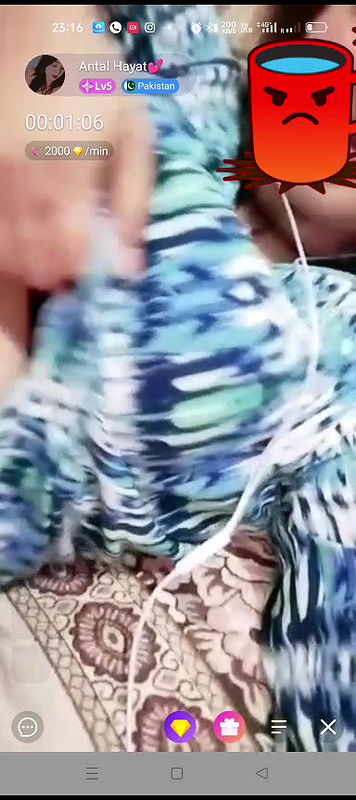 antal hayat Chamet collection