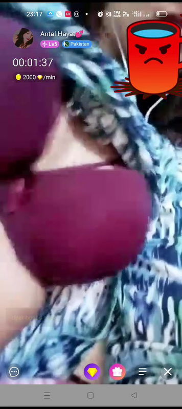 antal hayat Chamet collection