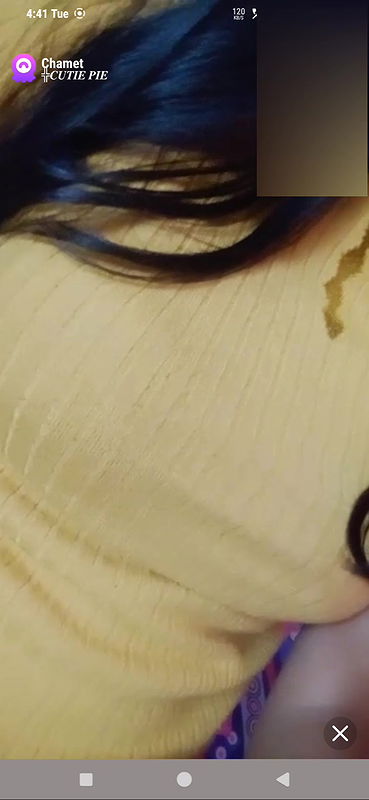 cutiepie Chamet collection