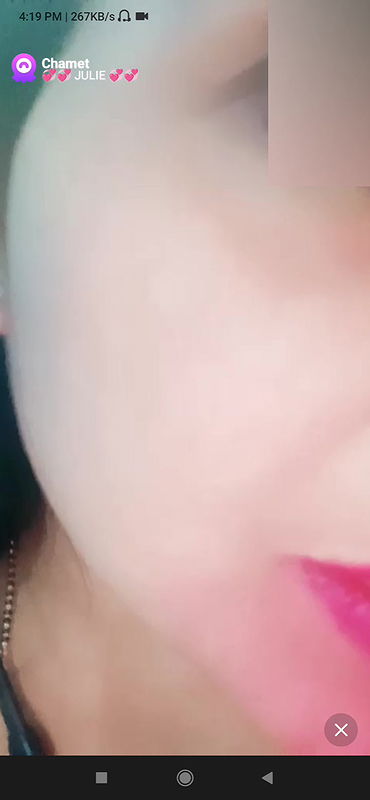 julie Chamet collection