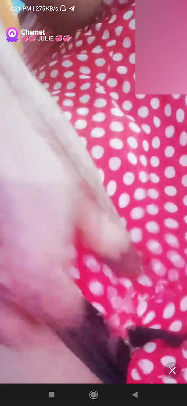 julie Chamet collection