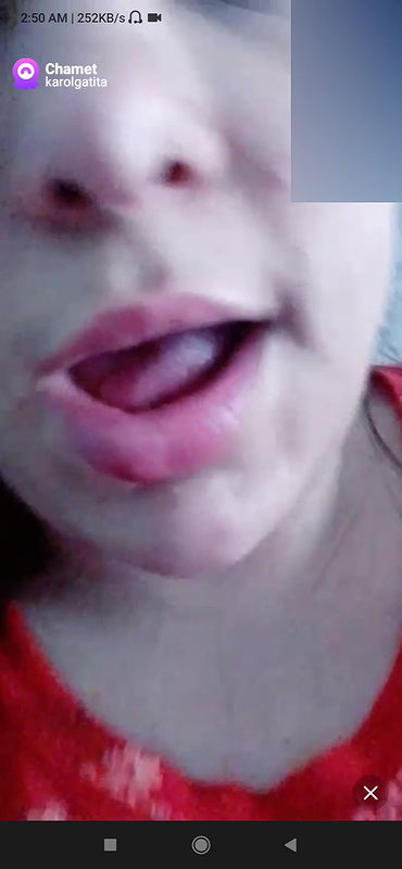 karolgatita Chamet collection