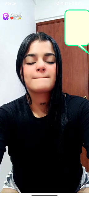 lia Chamet collection