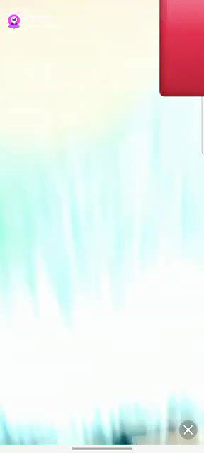 miss dnrk Chamet collection