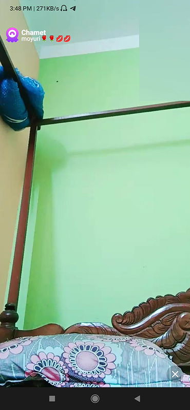 moyuri Chamet collection