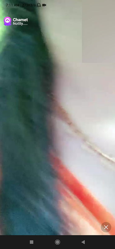 notty Chamet collection