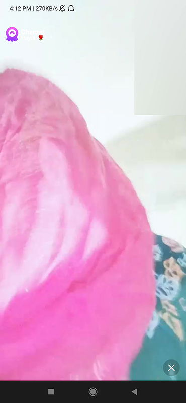 payal Chamet collection