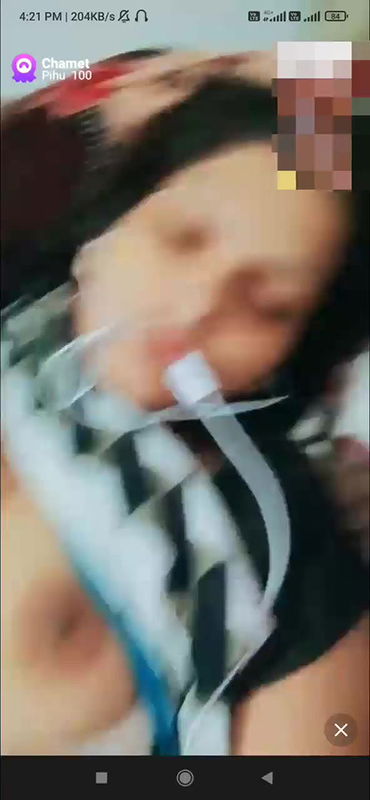 pihu 100 Chamet collection