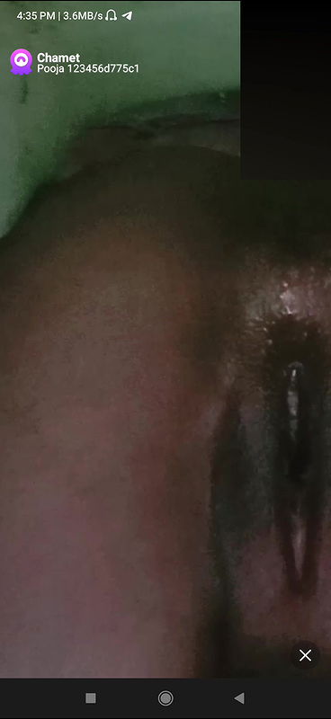 pooja123456d775c1 Chamet collection