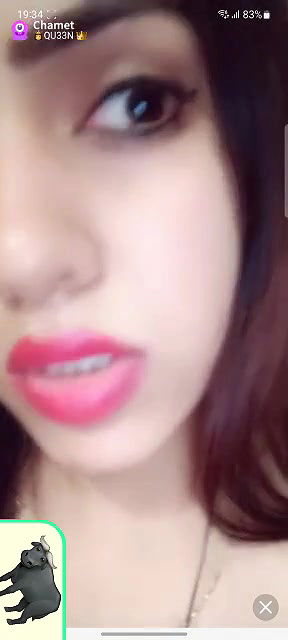 Qu33n Chamet collection