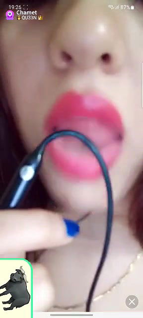 Qu33n Chamet collection