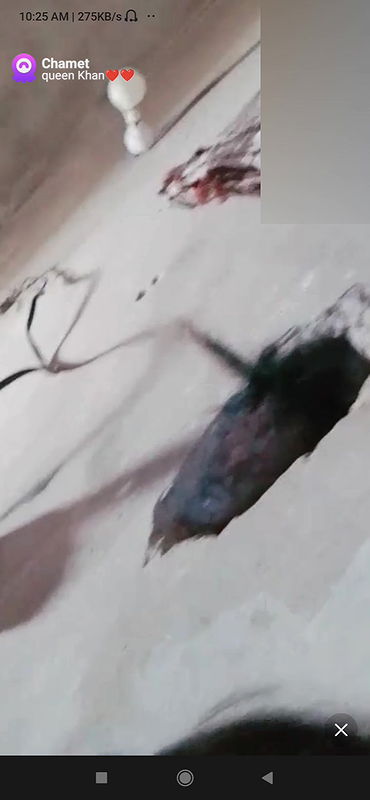 queen khas Chamet collection