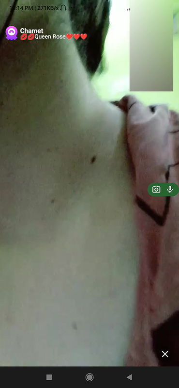 Queen rose Chamet collection