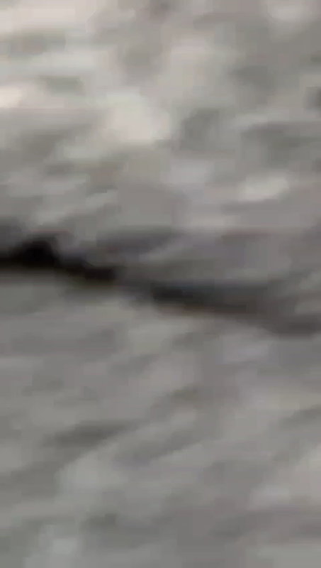 Desi village wife fucking with husband