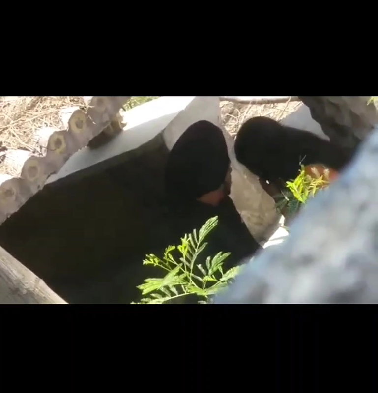 Punjabi lover sex capture