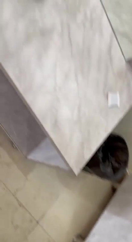 Punjabi girl do hard fuck in bathroom and blowjob to her boyfriend4