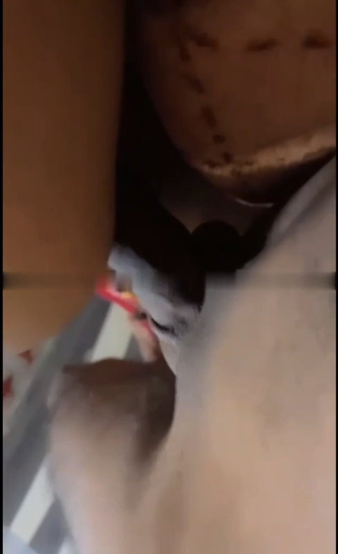 Punjabi couple enjoying and fucking