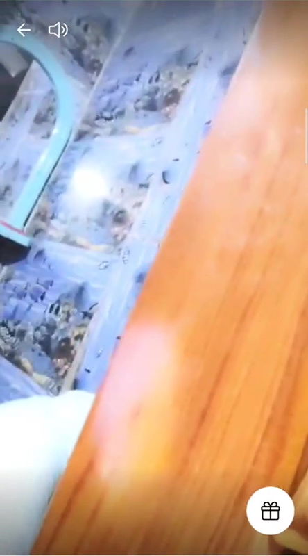 Baby Sundary Showing Her Slim Body and Tight Ass With Brief Face 2