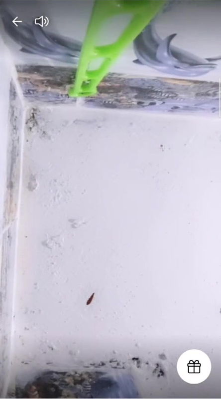 Baby Sundary Showing Her Slim Body and Tight Ass With Brief Face 2