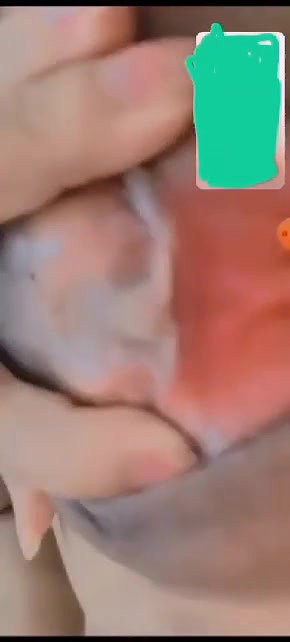 Mimi hot girl showing her strip nude pussy in video call pvt with face 2