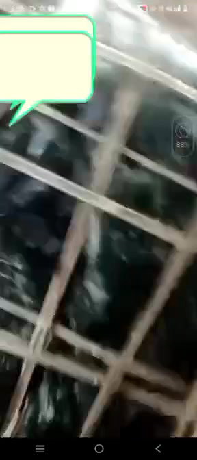 Beautiful Village Girl Showing Sharp Boobs 2