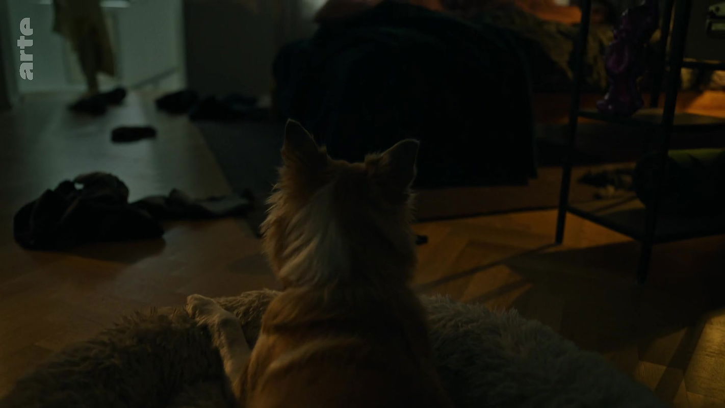 Vivian Olafsdottir – Reykjavik 112 S01E01 (2025) HD 1080p 2