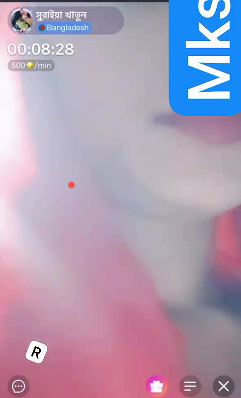 suraia khatun chamet